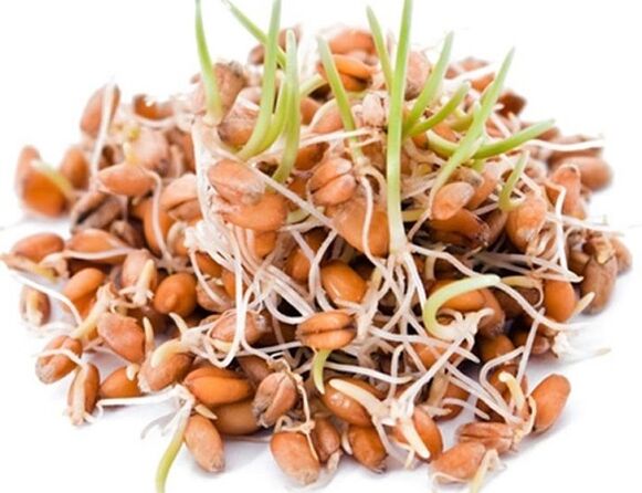 Clean Forte contient des grains germés de blé, d'avoine et de maïs