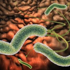 Parasites dans le corps