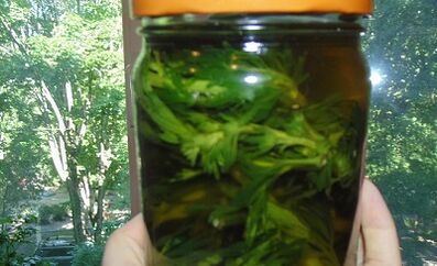 Teinture à base de plantes pour éliminer les parasites du corps